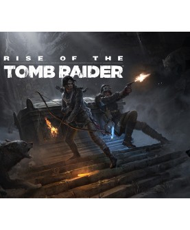 Rise of the Tomb Raider - Season Pass Steam Key EUROPE